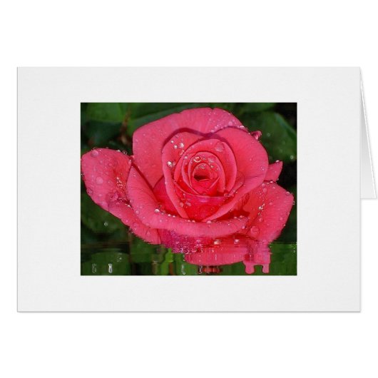 Raindrops Cards (Front Horizontal)