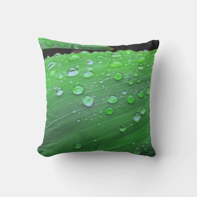 Raindrops Closeup Outdoor Pillow (Front)