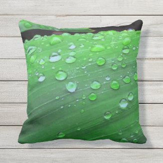 Raindrops Closeup Outdoor Pillow