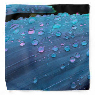 Raindrops Closeup, Spacey Blues Bandana