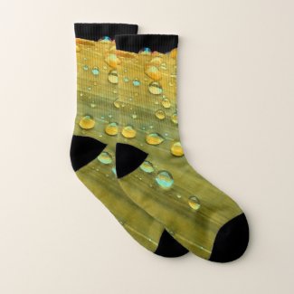 Raindrops Closeup, Spacey Mustard Yellow Socks