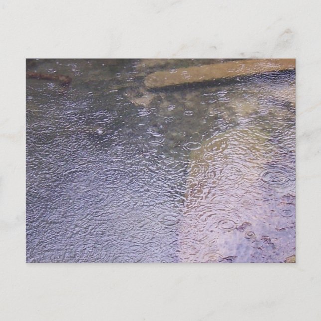 Raindrops in a Puddle Postcard (Front)