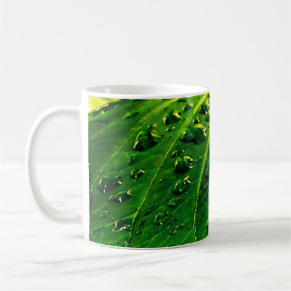 Raindrops on a Leaf Coffee Mug
