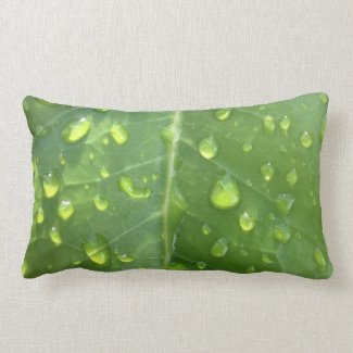 Raindrops on a Leaf Lumbar Pillow