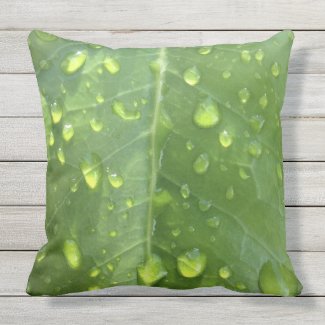 Raindrops on a Leaf Outdoor Pillow