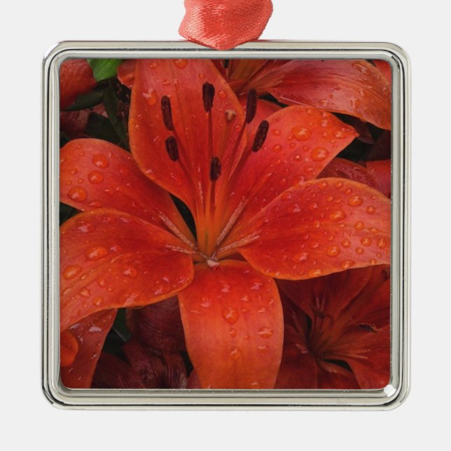 Raindrops on a Lily Metal Ornament (Front)
