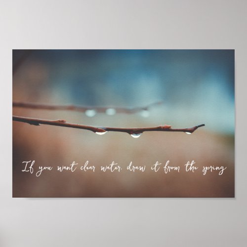 Raindrops on a tree branch poster