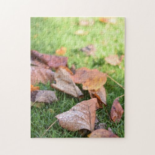 Raindrops on Autumn Leaves Regents Park London Jigsaw Puzzle