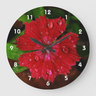 Raindrops on Beautiful Red Dianthus Flower Photo Large Clock