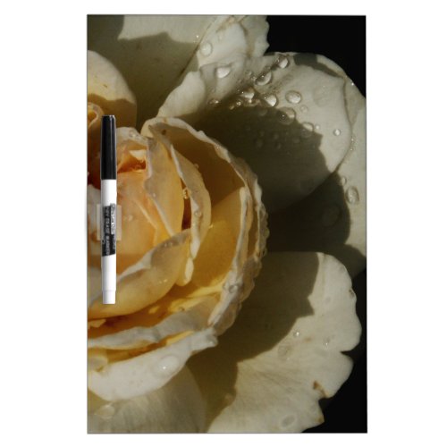 Raindrops on Champagne cream White Rose floral Dry_Erase Board