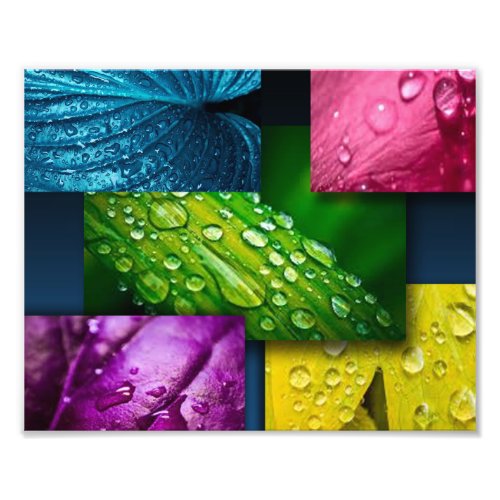 Raindrops On Colorful  Leaves Photo Print