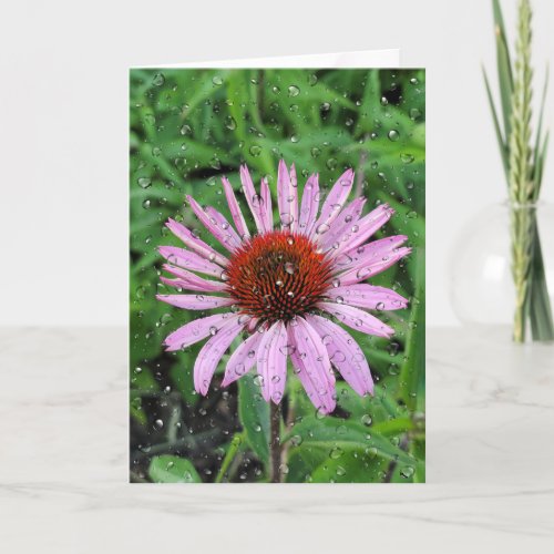 Raindrops on Cone Flower Card