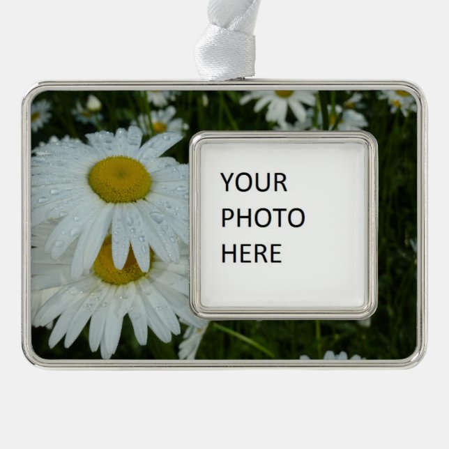 Raindrops on Daisies Wildflower Floral Christmas Ornament (Front)