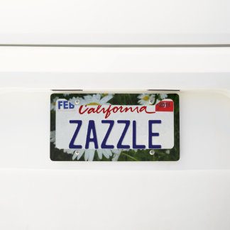 Raindrops on Daisies Wildflower Floral License Plate Frame
