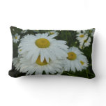 Raindrops on Daisies Wildflower Floral Lumbar Pillow