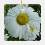 Raindrops on Daisy I Wildflower Floral Ceramic Ornament