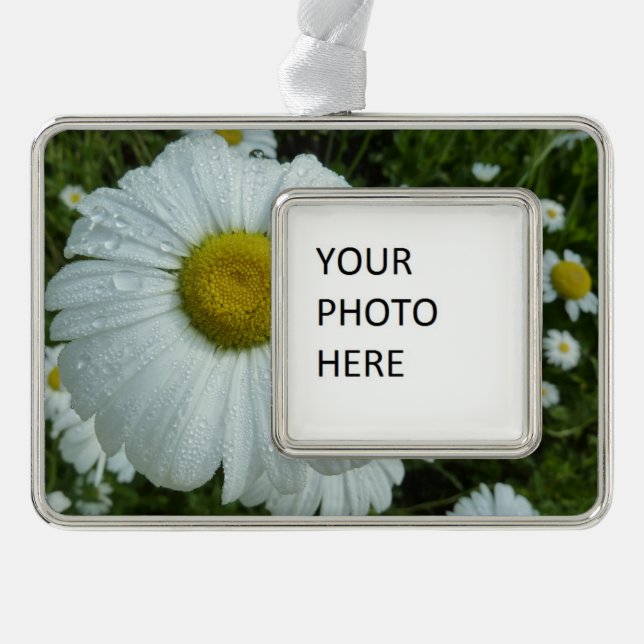 Raindrops on Daisy I Wildflower Floral Christmas Ornament (Front)