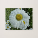 Raindrops on Daisy I Wildflower Floral Jigsaw Puzzle