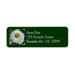 Raindrops on Daisy I Wildflower Floral Label