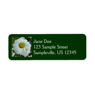 Raindrops on Daisy I Wildflower Floral Label