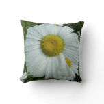 Raindrops on Daisy I Wildflower Floral Throw Pillow
