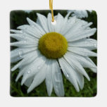 Raindrops on Daisy II Summer Wildflower Ceramic Ornament
