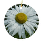 Raindrops on Daisy II Wildflower Floral Ceramic Ornament