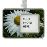 Raindrops on Daisy II Wildflower Floral Christmas Ornament