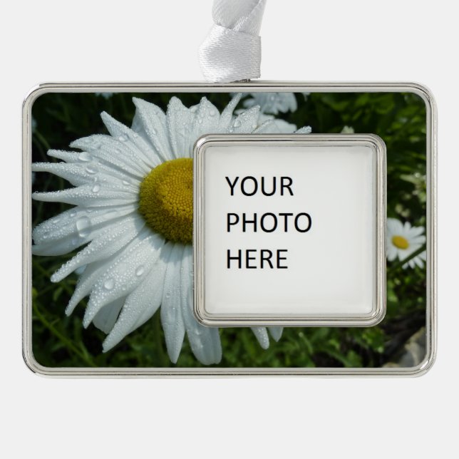 Raindrops on Daisy II Wildflower Floral Christmas Ornament (Front)