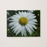 Raindrops on Daisy II Wildflower Floral Jigsaw Puzzle