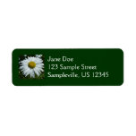 Raindrops on Daisy II Wildflower Floral Label