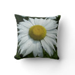 Raindrops on Daisy II Wildflower Floral Throw Pillow