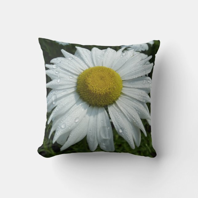 Raindrops on Daisy II Wildflower Floral Throw Pillow (Front)