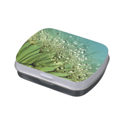 Raindrops on dandelions jelly belly tin (Side)