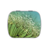 Raindrops on dandelions jelly belly tin (Top)