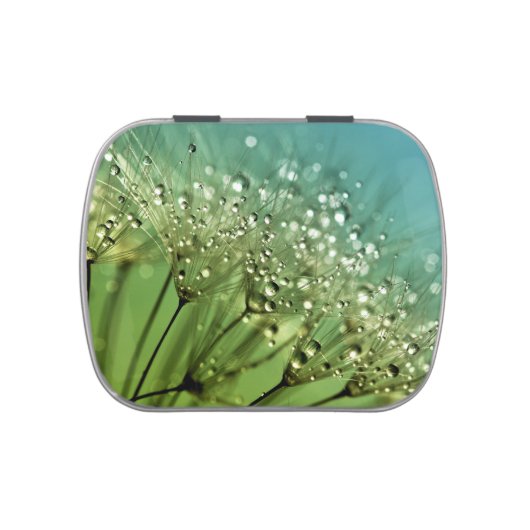 Raindrops on dandelions jelly belly tin (Top)