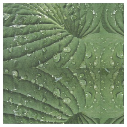 Raindrops on Hosta Leaf Abstract Fabric