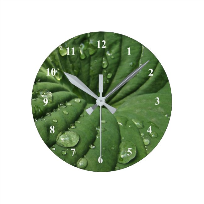 Raindrops on Hosta Leaf Clock