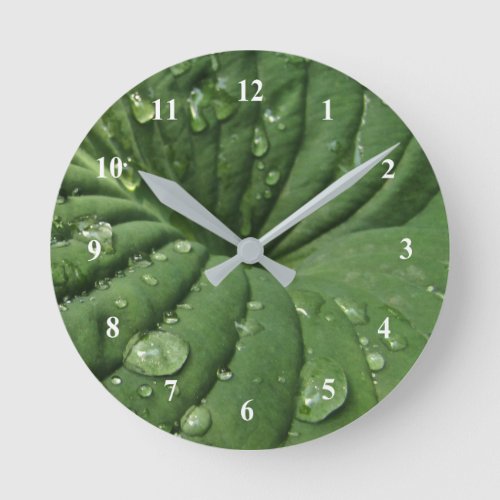 Raindrops on Hosta Leaf Clock