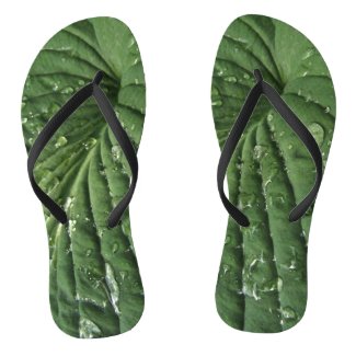 Raindrops on Hosta Leaf Flip Flops