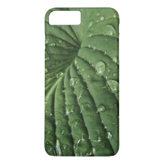 Raindrops on Hosta Leaf iPhone 8/7 Plus Case