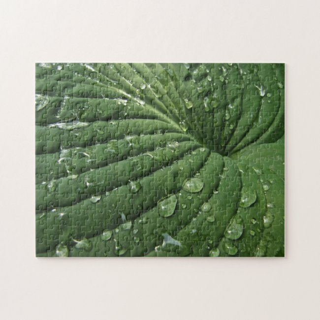 Raindrops on Hosta Leaf Jigsaw Puzzle