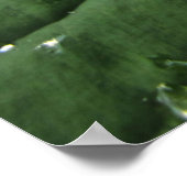 Raindrops on Hosta Leaf Poster (Corner)