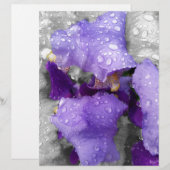 raindrops on iris (Front/Back)