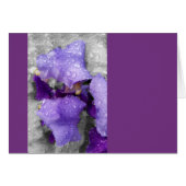 raindrops on iris (Front Horizontal)