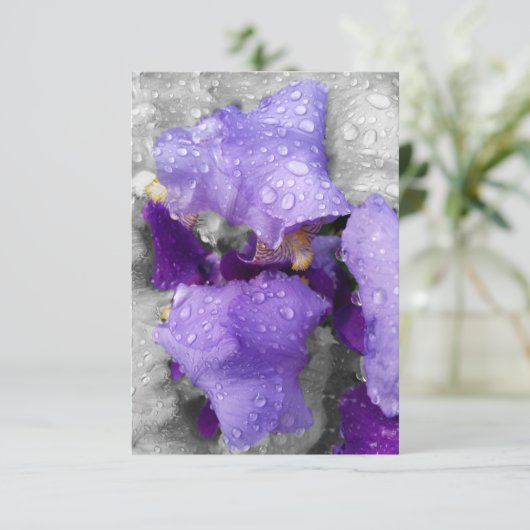 raindrops on iris (Standing Front)