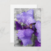 raindrops on iris (Front/Back)