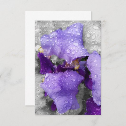 raindrops on iris (Front/Back)