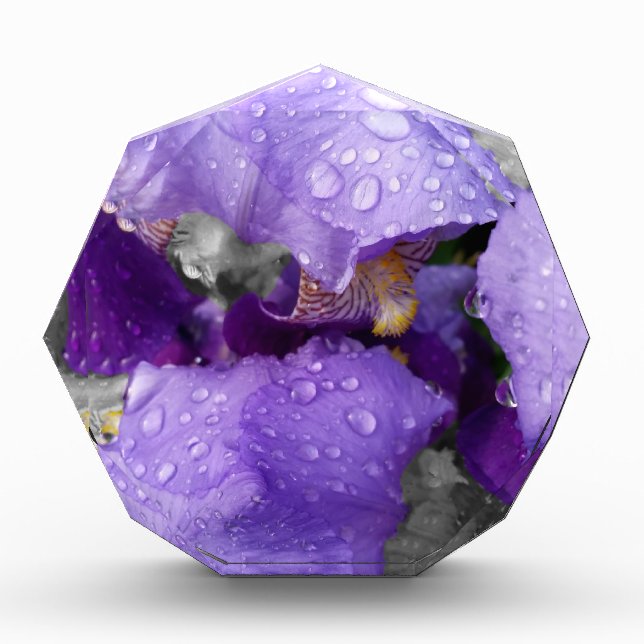 raindrops on iris acrylic award (Front)