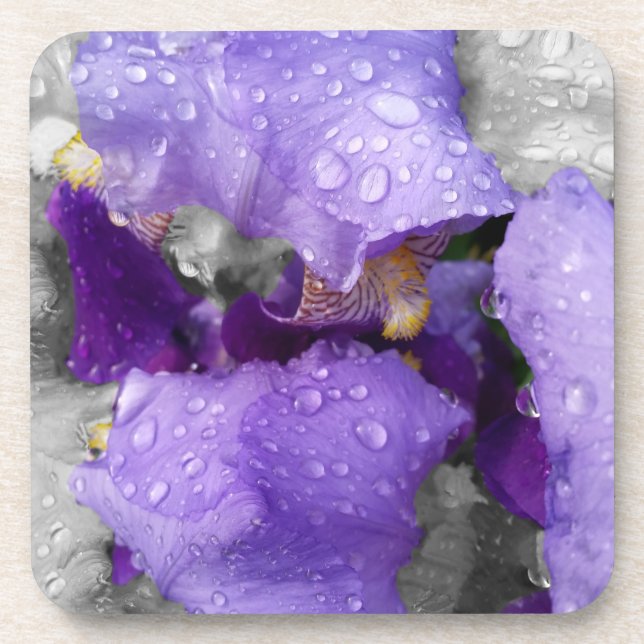 raindrops on iris beverage coaster (Front)